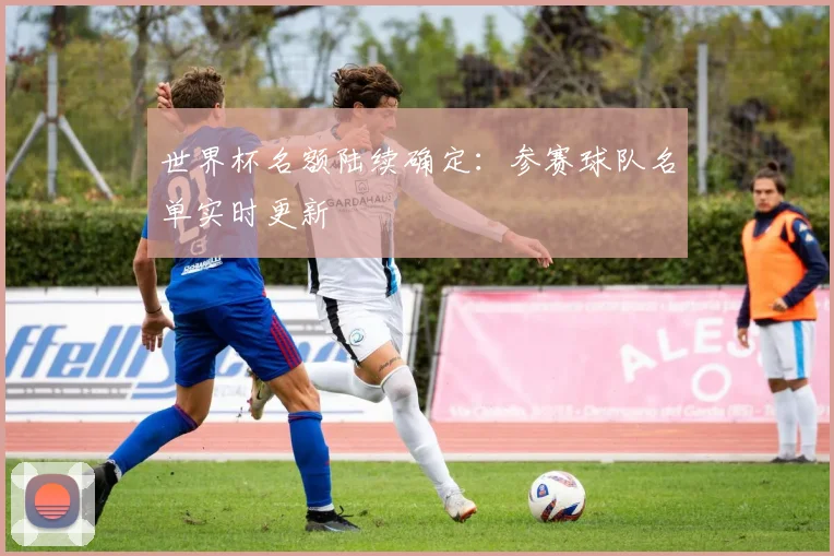 世界杯名额陆续确定：参赛球队名单实时更新