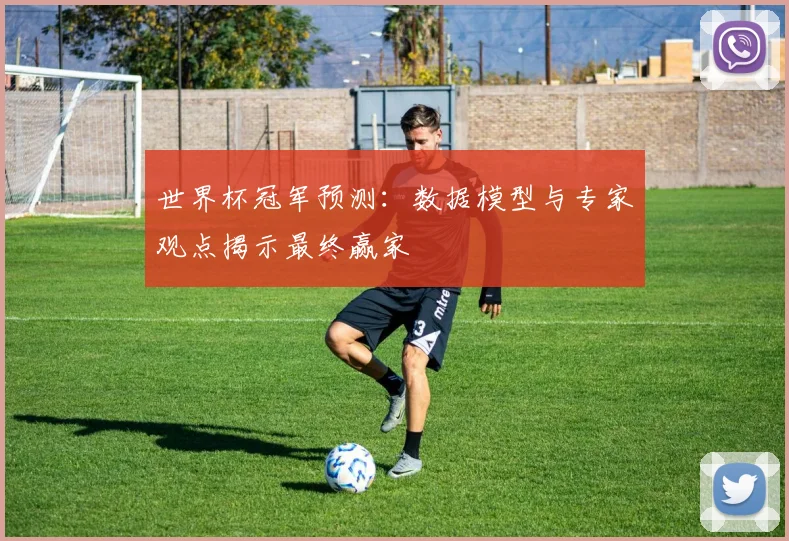 世界杯冠军预测：数据模型与专家观点揭示最终赢家